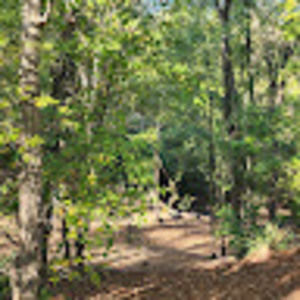 Meet your Posher, Sandon